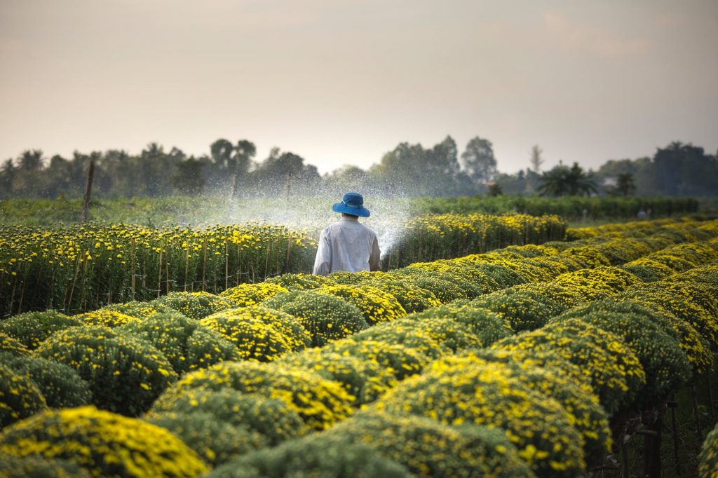 agriculture-2.0