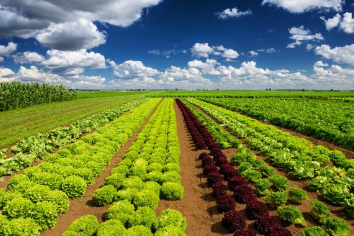 Les principes de l’agriculture intégrée