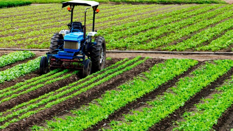 Comment choisir le meilleur matériel agricole pour optimiser la productivité de son exploitation ?