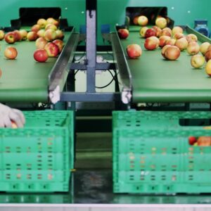 Cueilleuses de fruits automatisées : Guide d’achat pour une récolte efficace