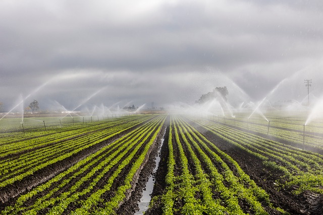 Choisir le système d’irrigation idéal pour votre exploitation : Guide complet