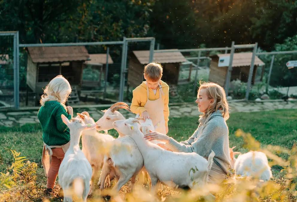 activités agrotouristiques