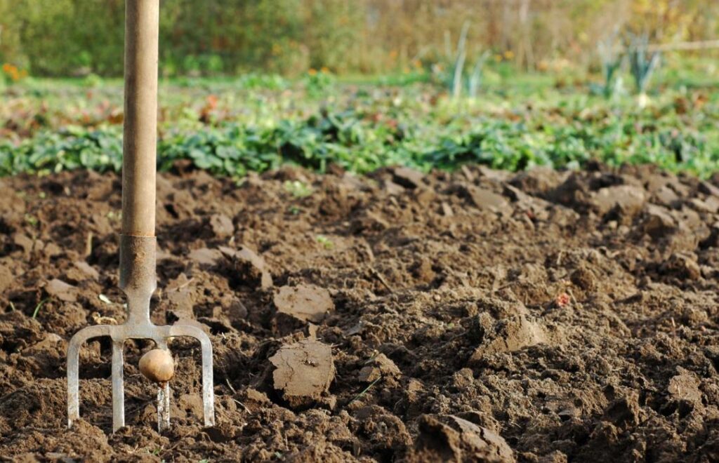 préparer le sol avant la plantation de vos plantes